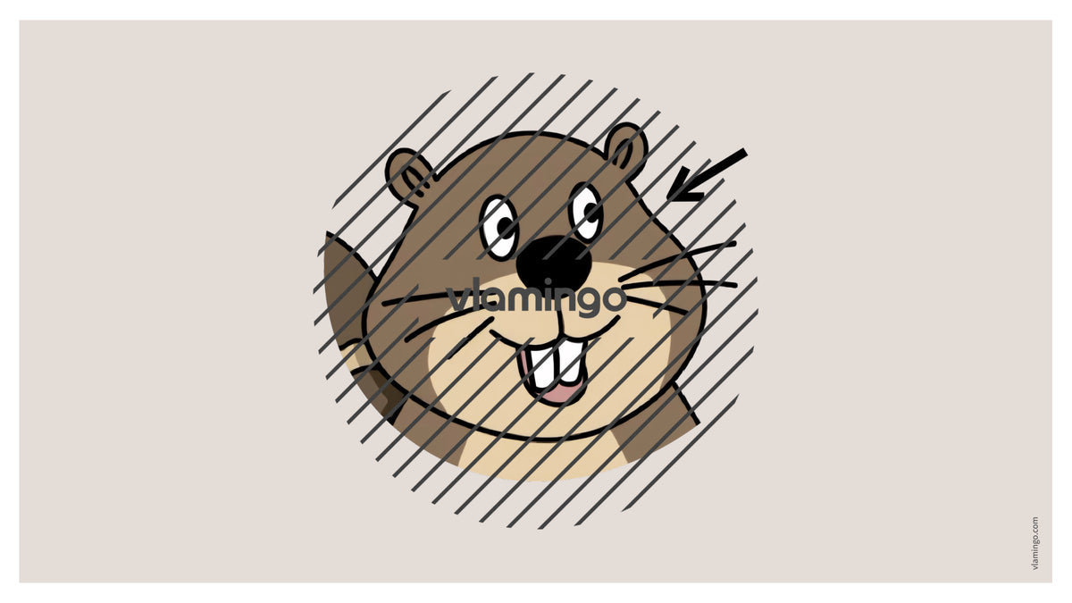 de englisch animal body parts vocabulary fitness powerpoint 029