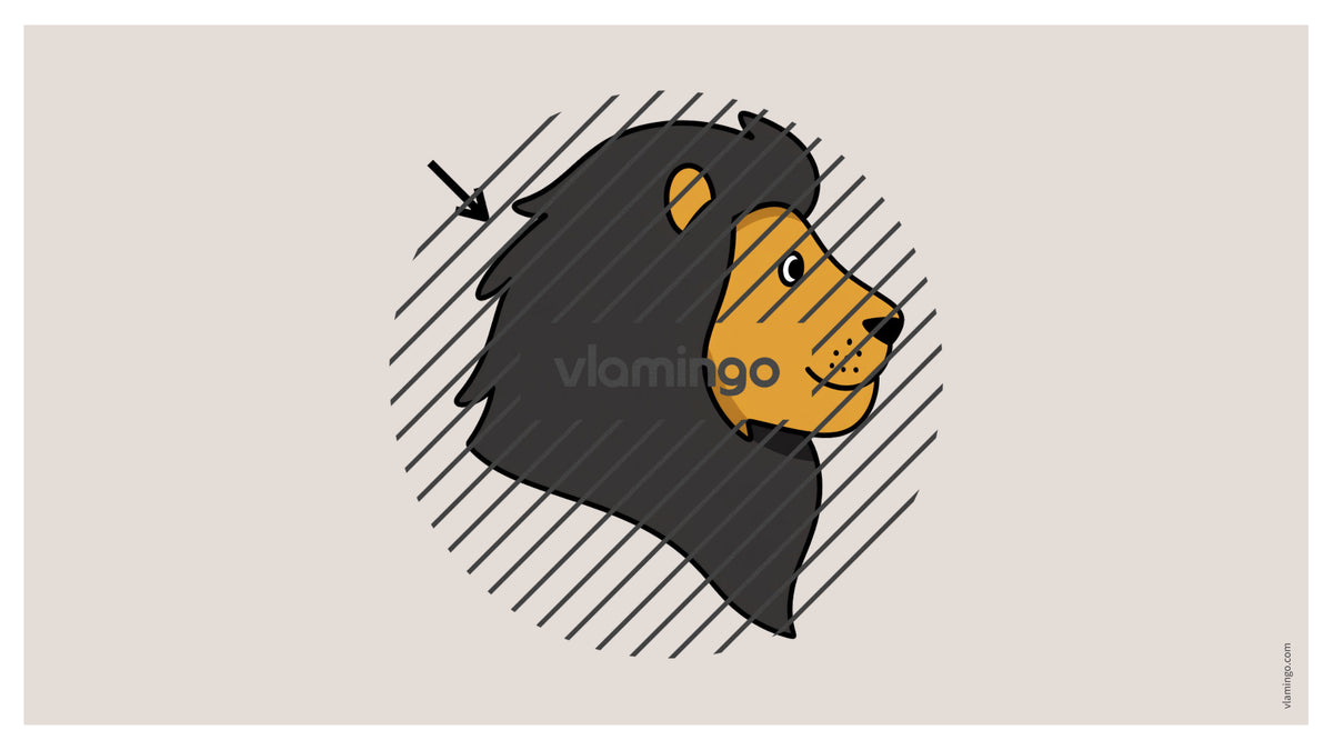 de englisch animal body parts vocabulary fitness powerpoint 032