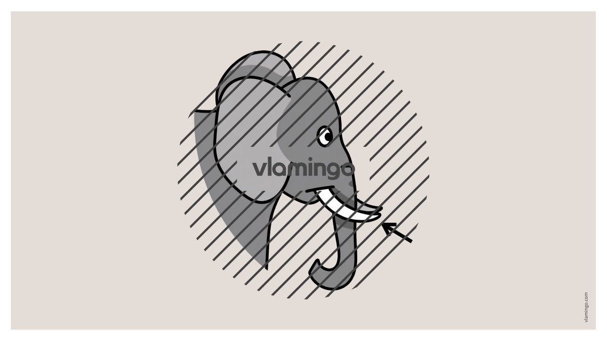 de englisch animal body parts vocabulary fitness powerpoint 037