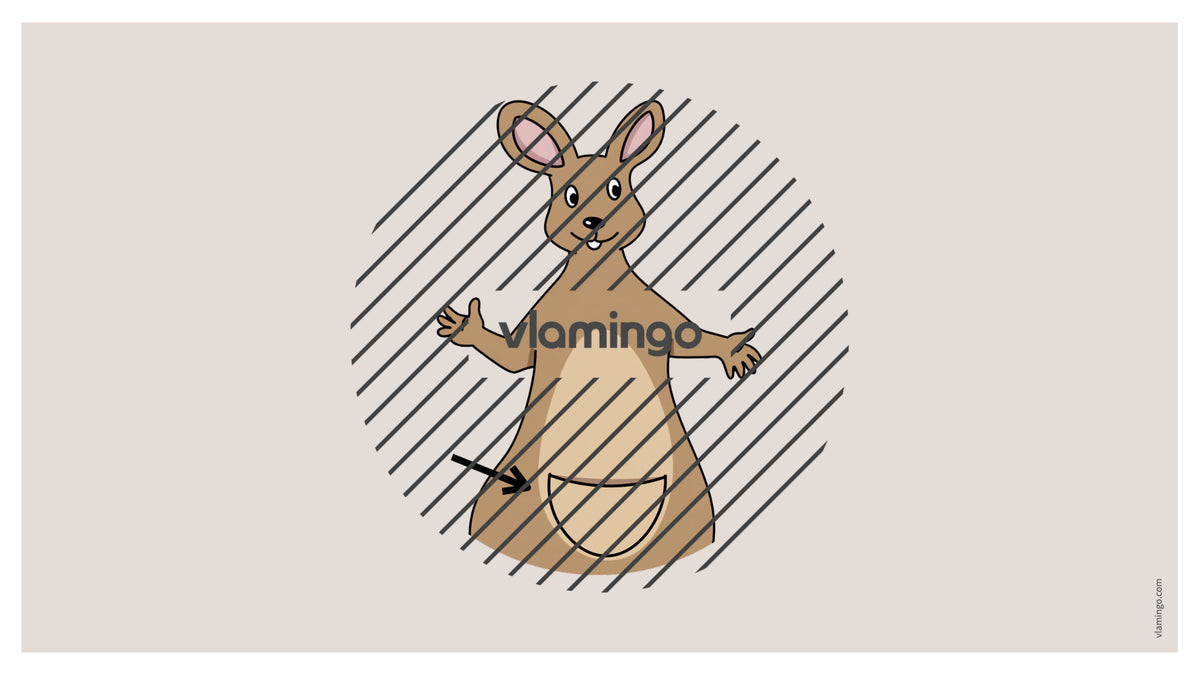 de englisch animal body parts vocabulary fitness powerpoint 038