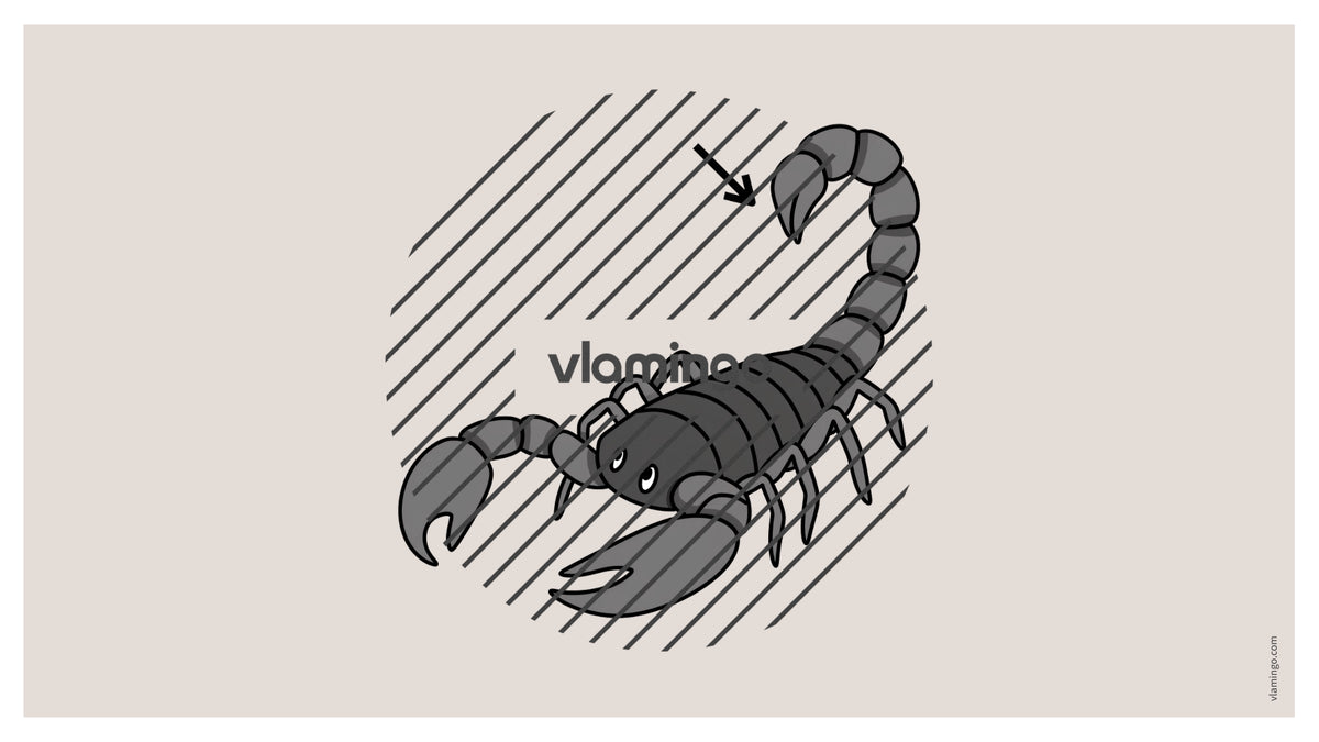 de englisch animal body parts vocabulary fitness powerpoint 042