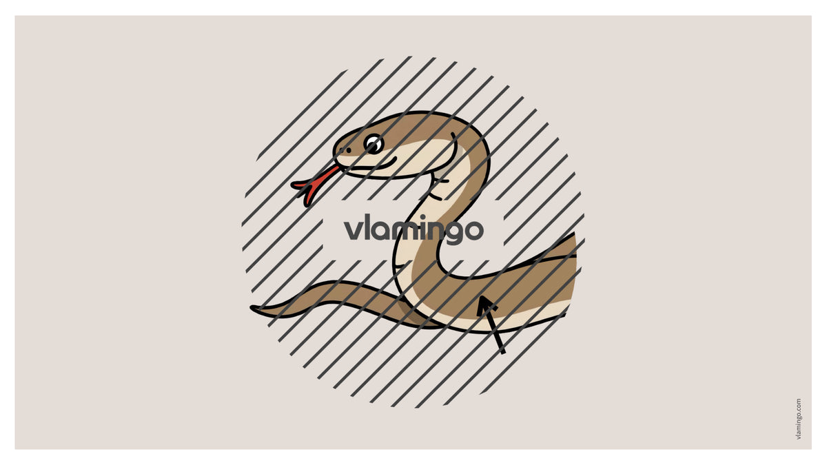de englisch animal body parts vocabulary fitness powerpoint 044