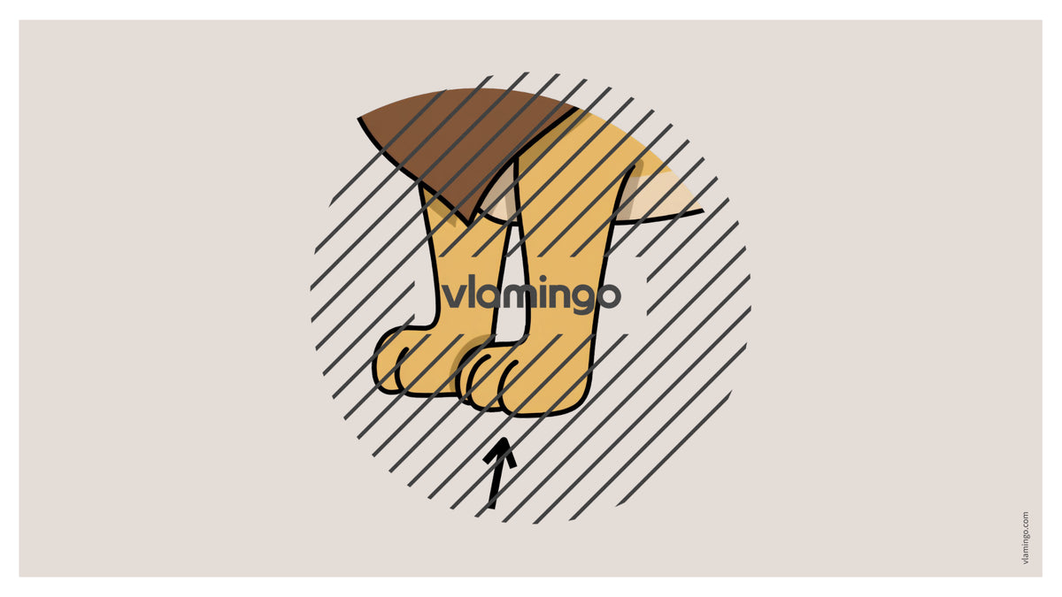 de englisch animal body parts vocabulary fitness powerpoint 052
