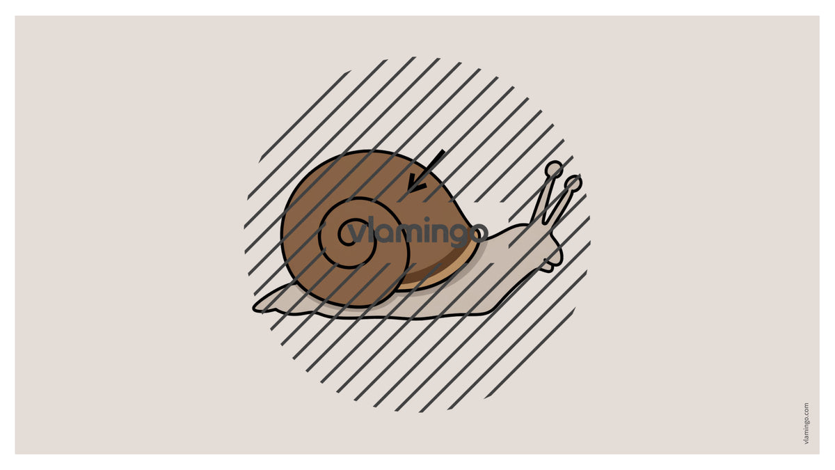 de englisch animal body parts vocabulary fitness powerpoint 056