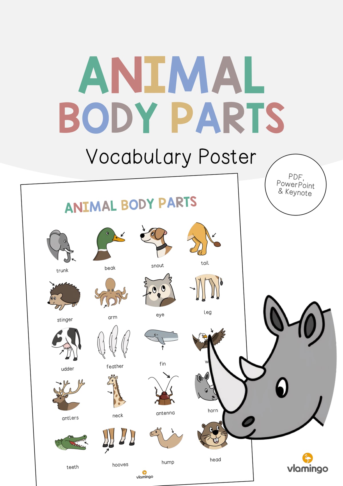 de englisch animal body parts vocabulary poster 001