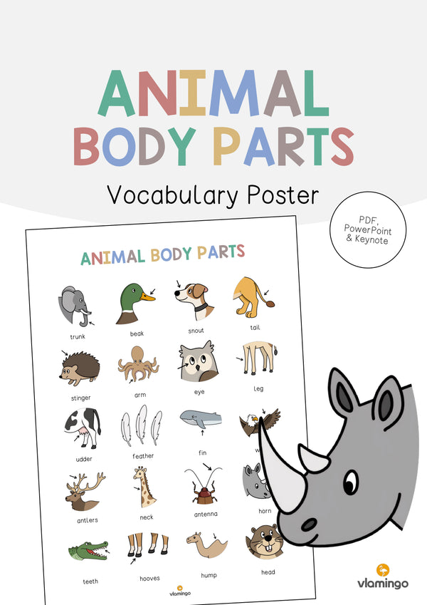 de englisch animal body parts vocabulary poster 001