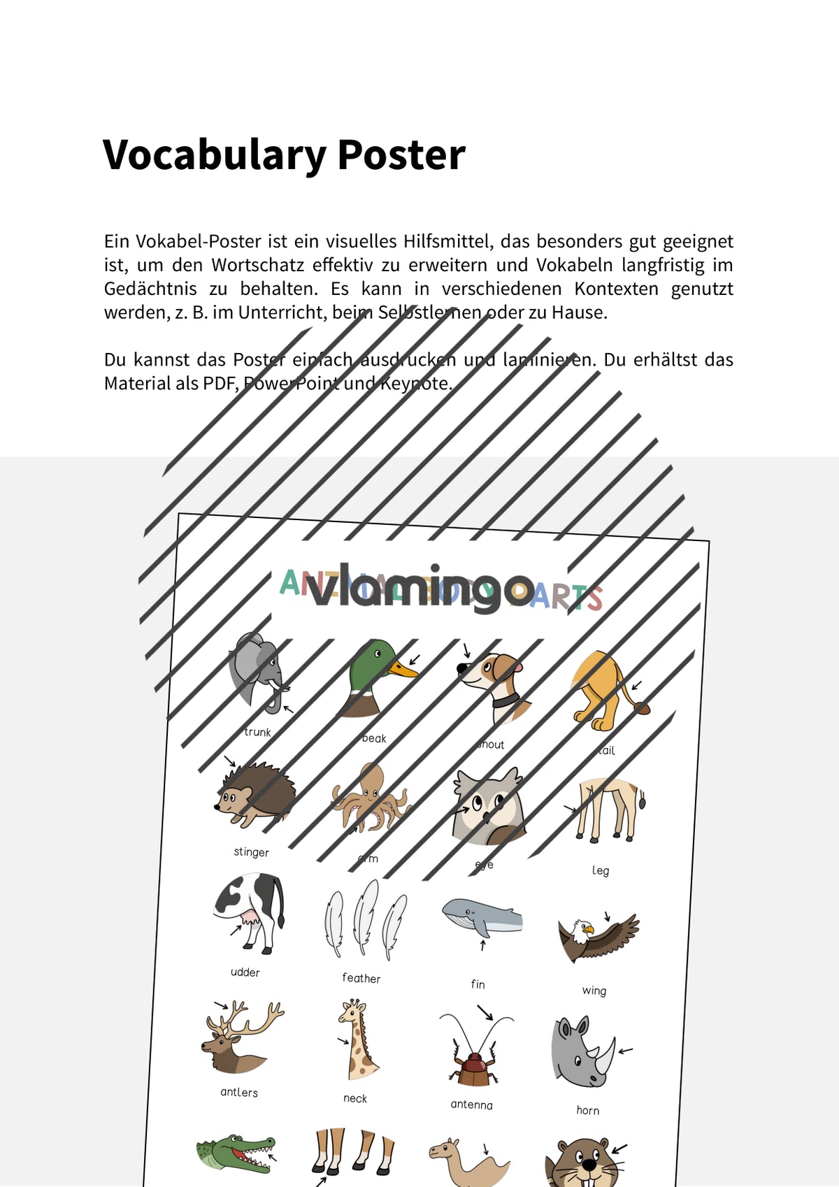 de englisch animal body parts vocabulary poster 002