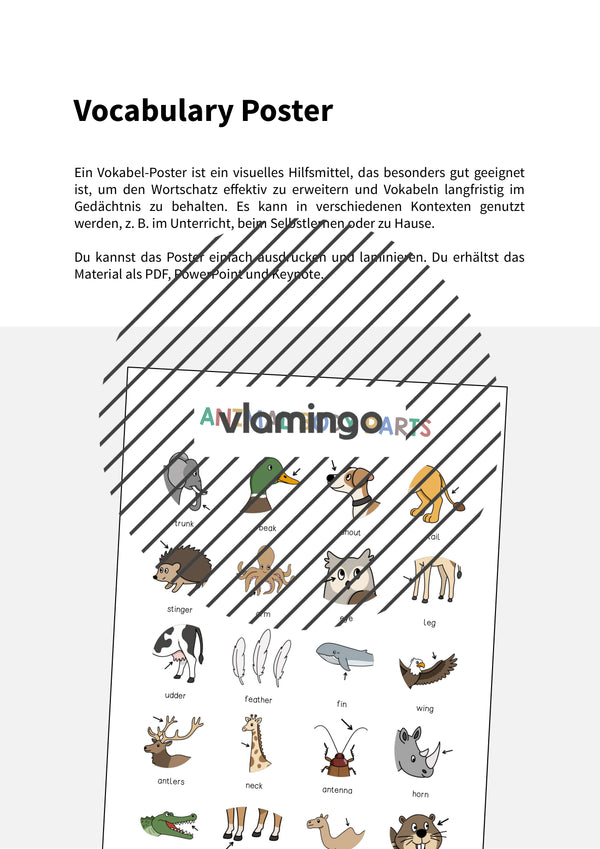 de englisch animal body parts vocabulary poster 002