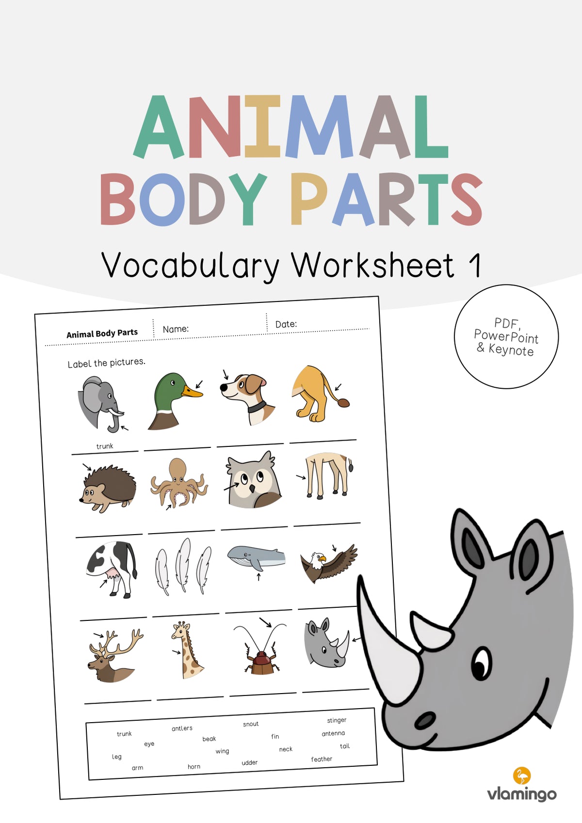 de englisch animal body parts vocabulary worksheet 1 001