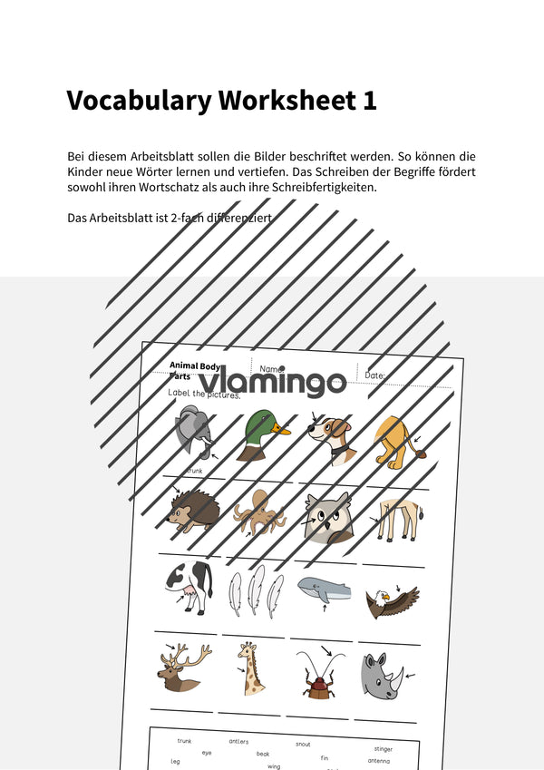 de englisch animal body parts vocabulary worksheet 1 002