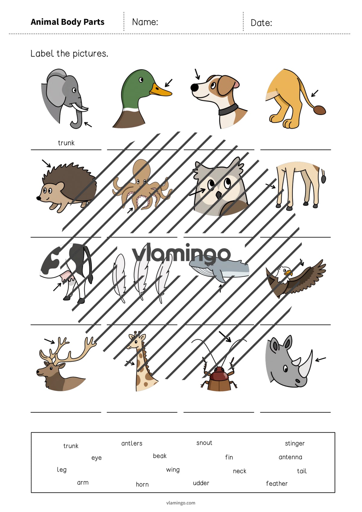 de englisch animal body parts vocabulary worksheet 1 004