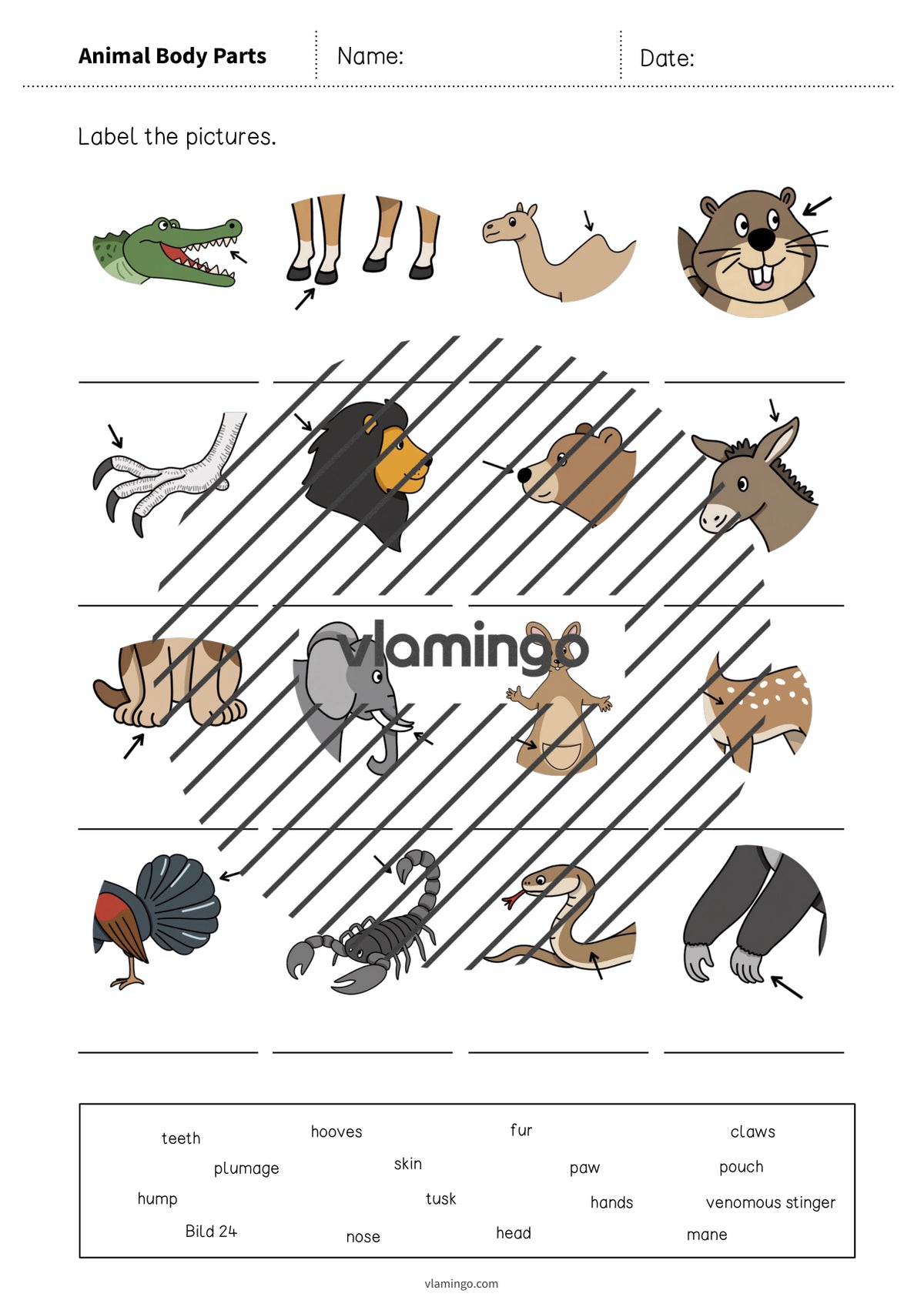 de englisch animal body parts vocabulary worksheet 1 005