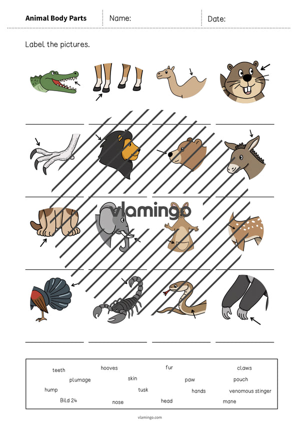 de englisch animal body parts vocabulary worksheet 1 005