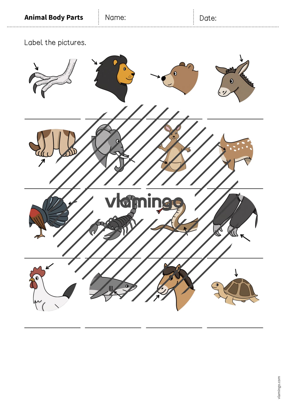 de englisch animal body parts vocabulary worksheet 1 008