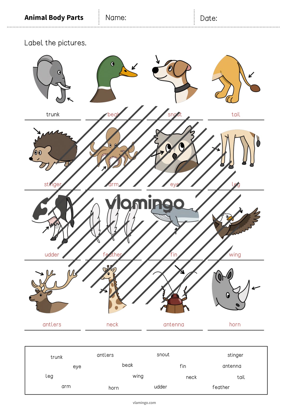 de englisch animal body parts vocabulary worksheet 1 010
