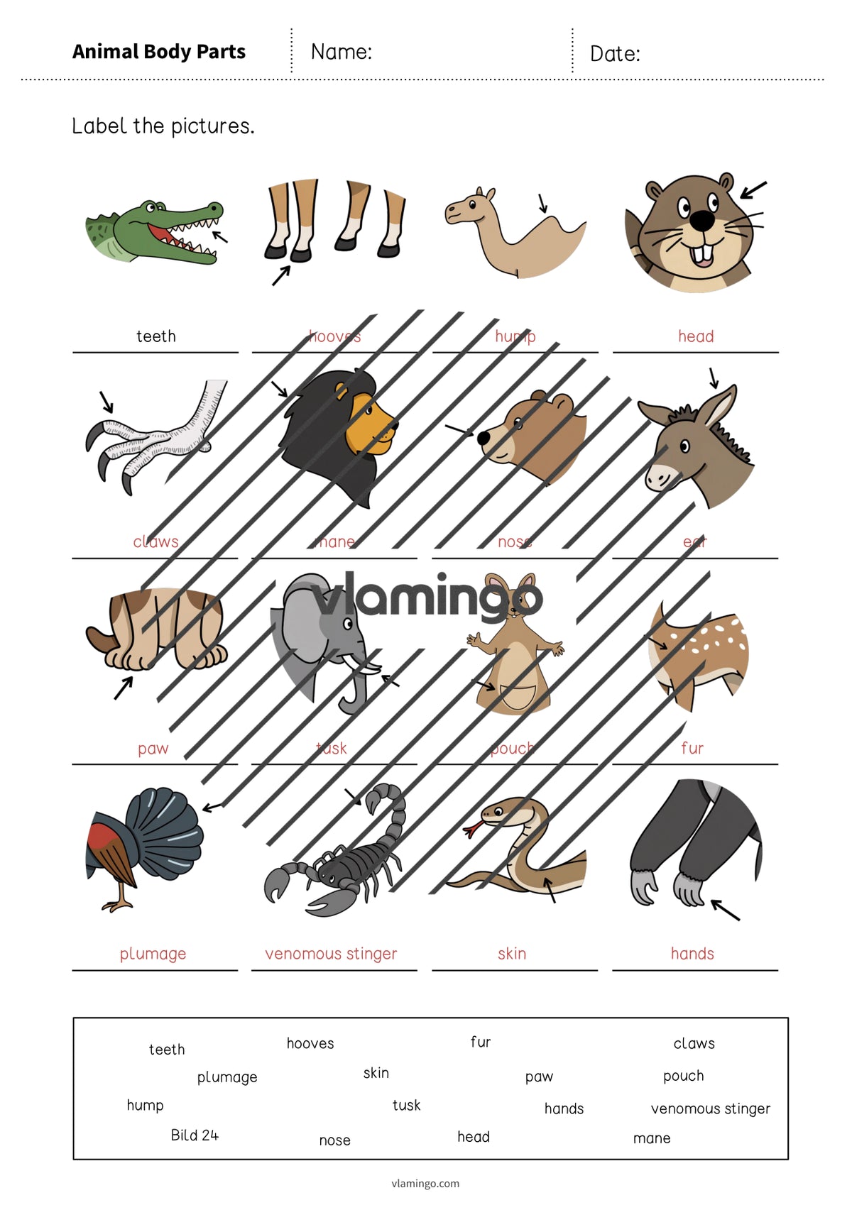 de englisch animal body parts vocabulary worksheet 1 011