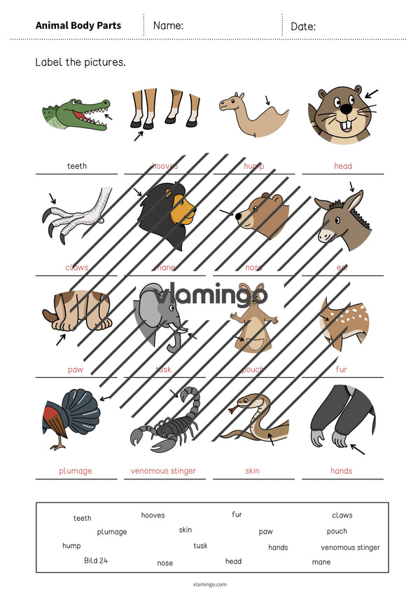 de englisch animal body parts vocabulary worksheet 1 011