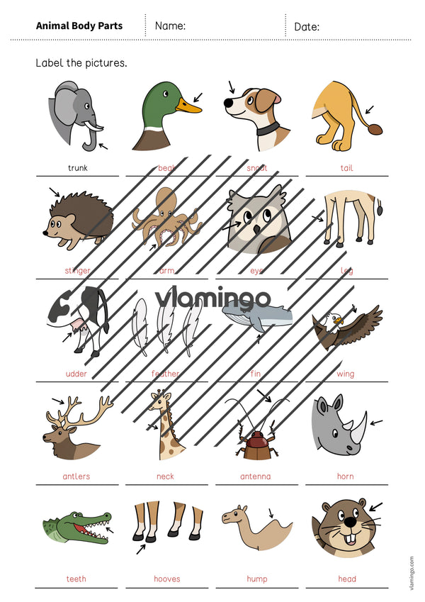 de englisch animal body parts vocabulary worksheet 1 012