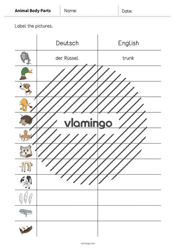 de englisch animal body parts vocabulary worksheet 3 003