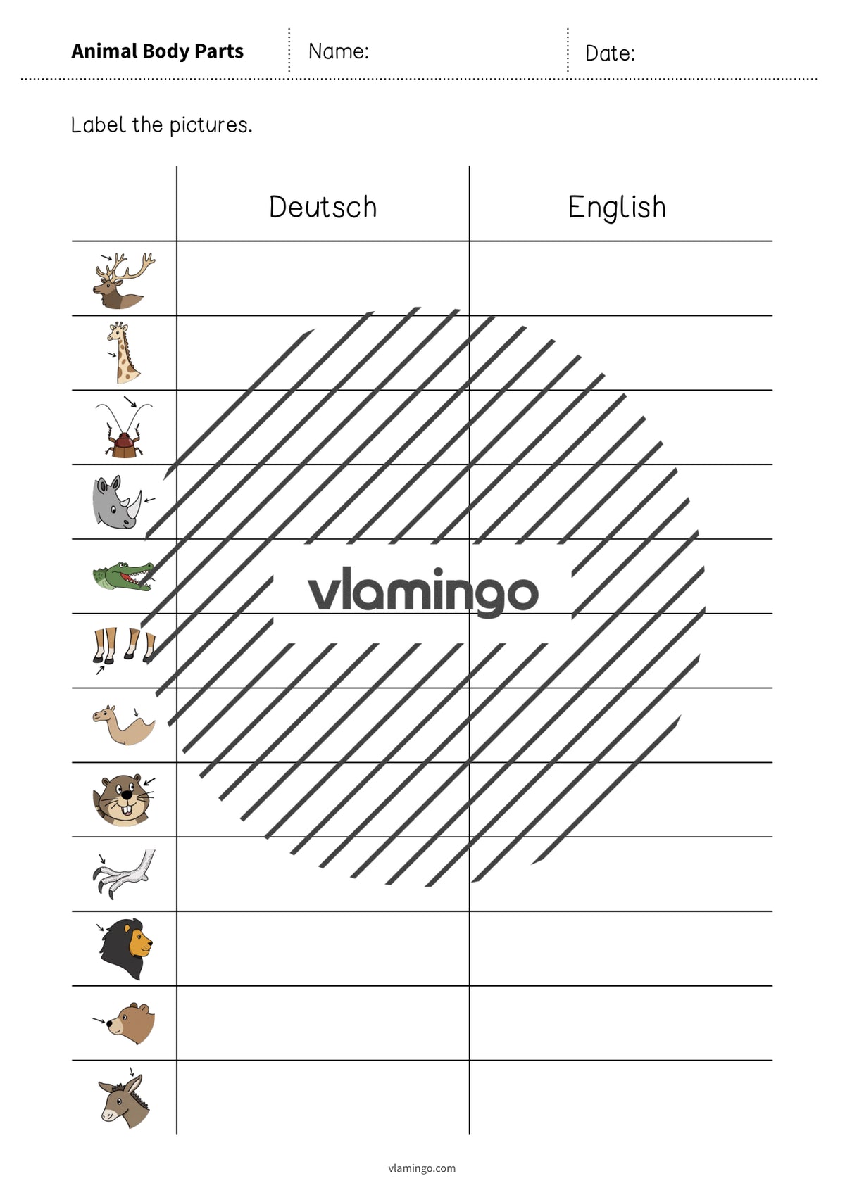 de englisch animal body parts vocabulary worksheet 3 004