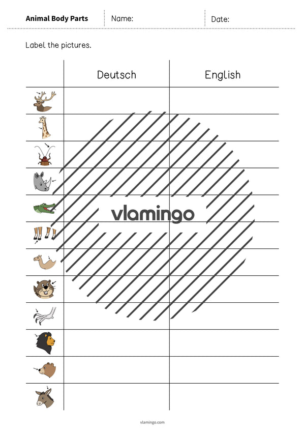 de englisch animal body parts vocabulary worksheet 3 004