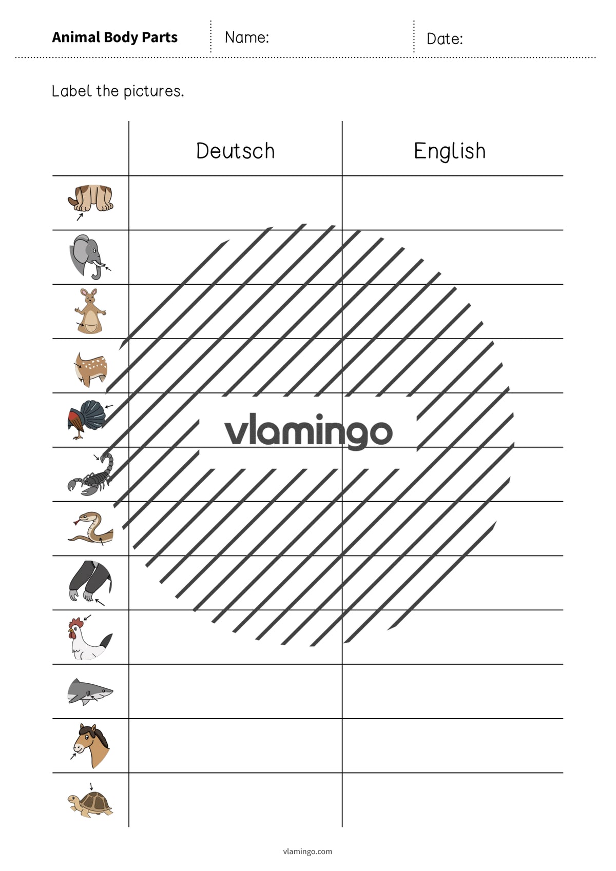 de englisch animal body parts vocabulary worksheet 3 005
