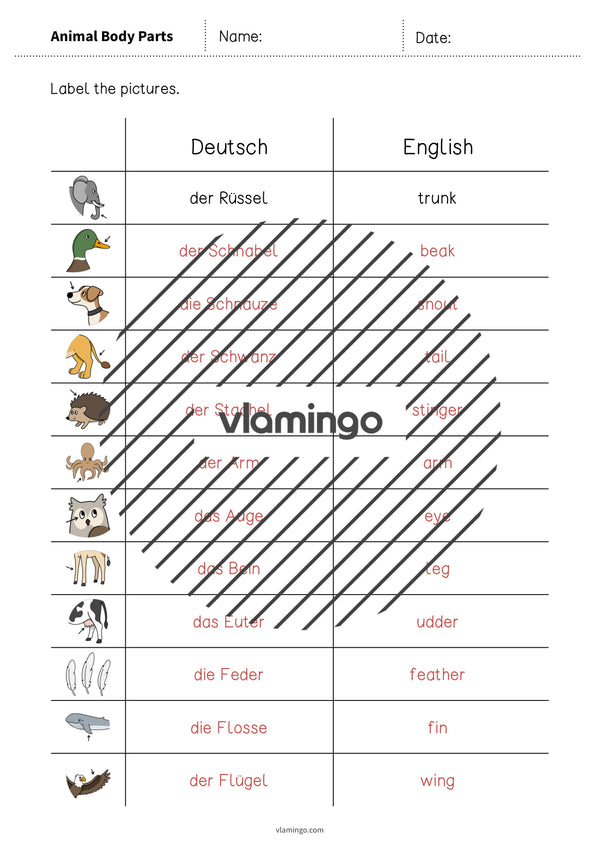 de englisch animal body parts vocabulary worksheet 3 007