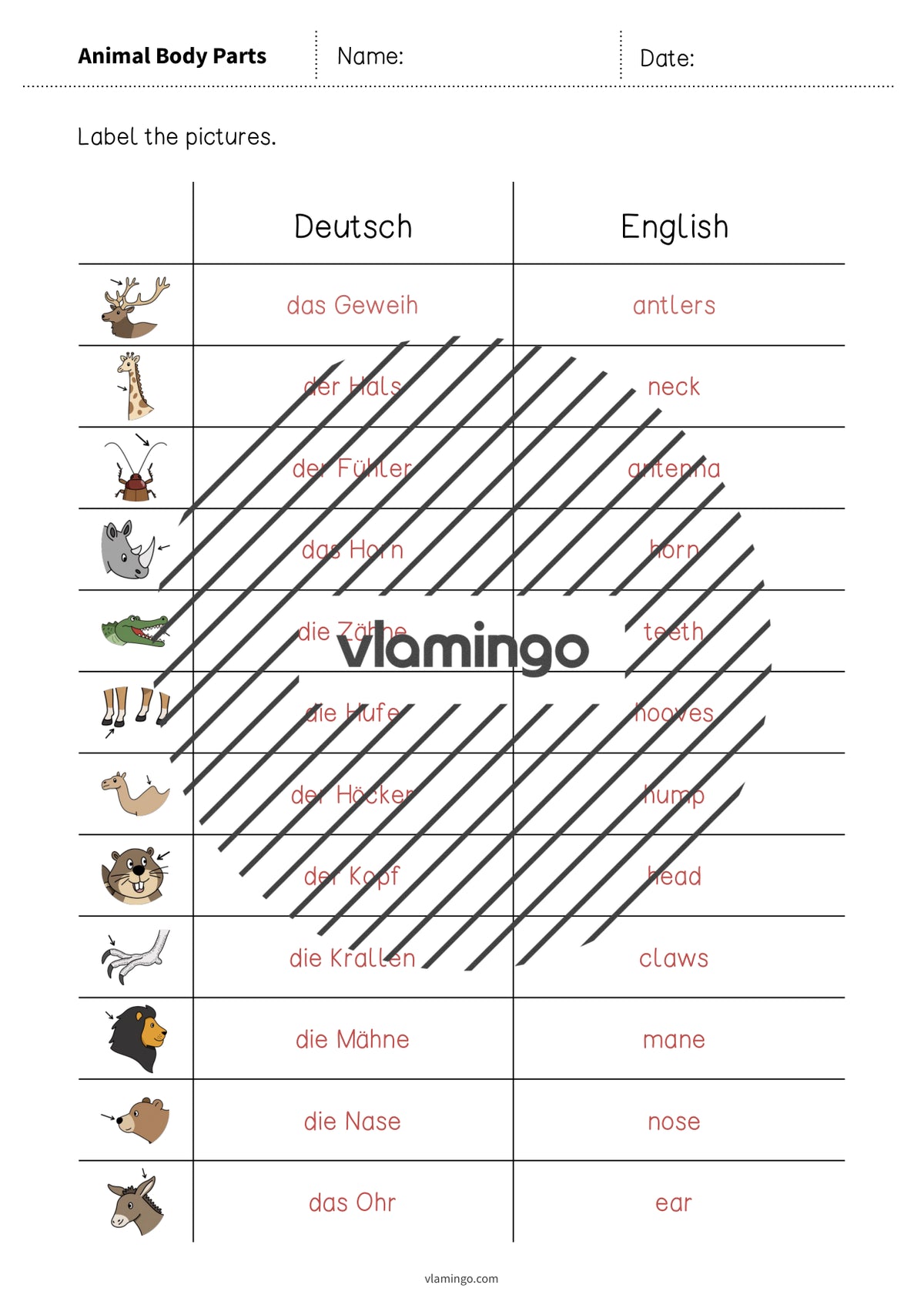 de englisch animal body parts vocabulary worksheet 3 008