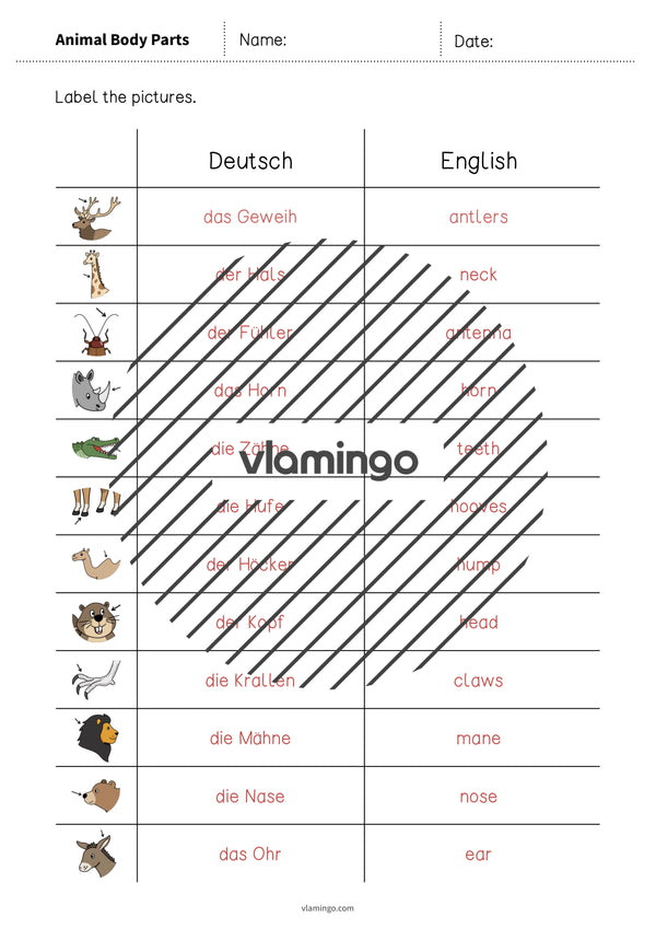 de englisch animal body parts vocabulary worksheet 3 008