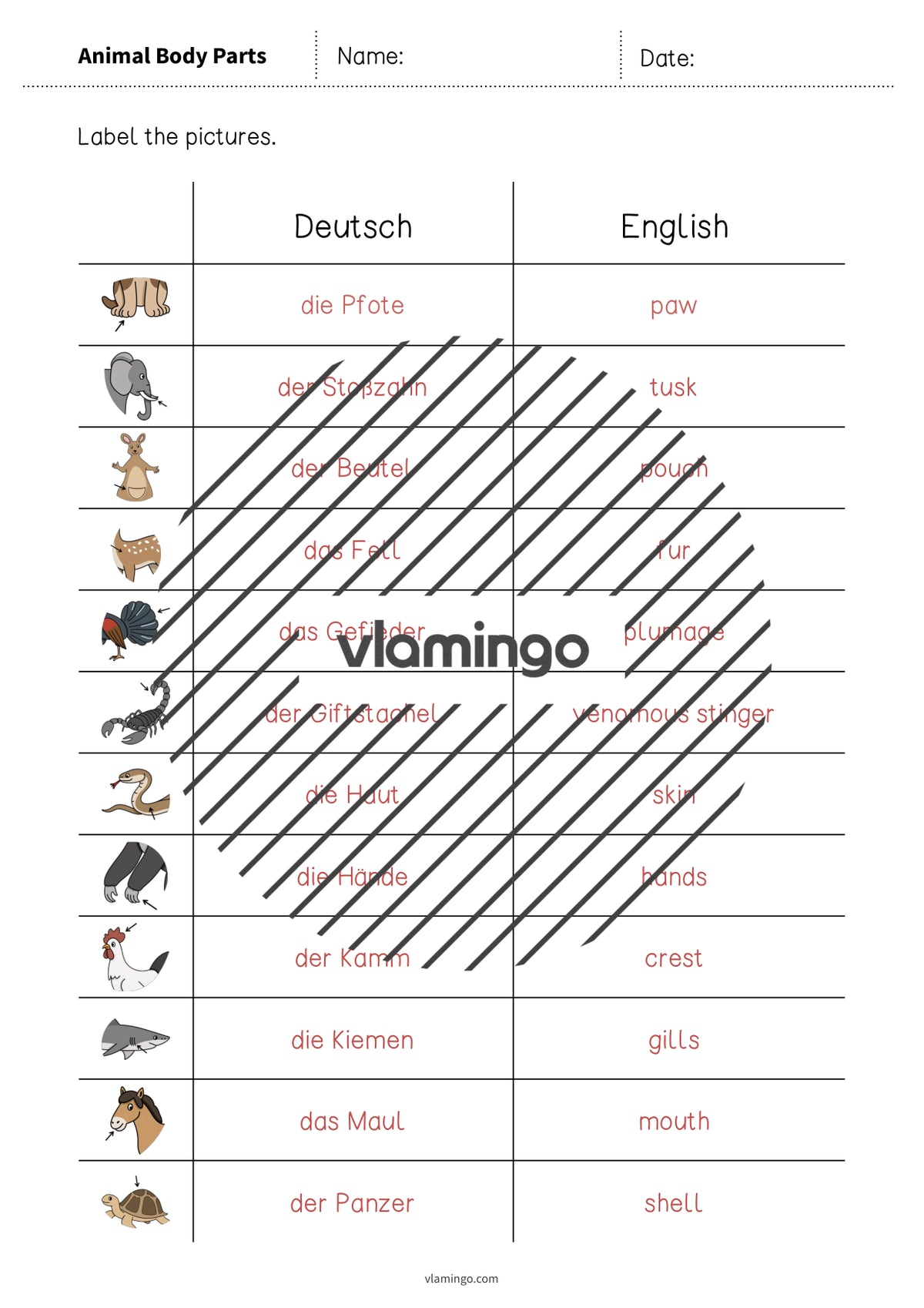 de englisch animal body parts vocabulary worksheet 3 009