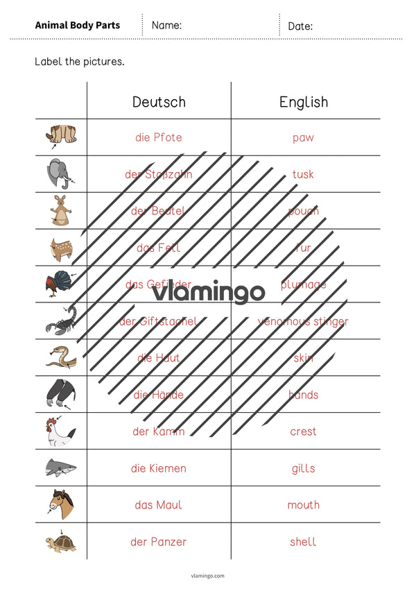 de englisch animal body parts vocabulary worksheet 3 009