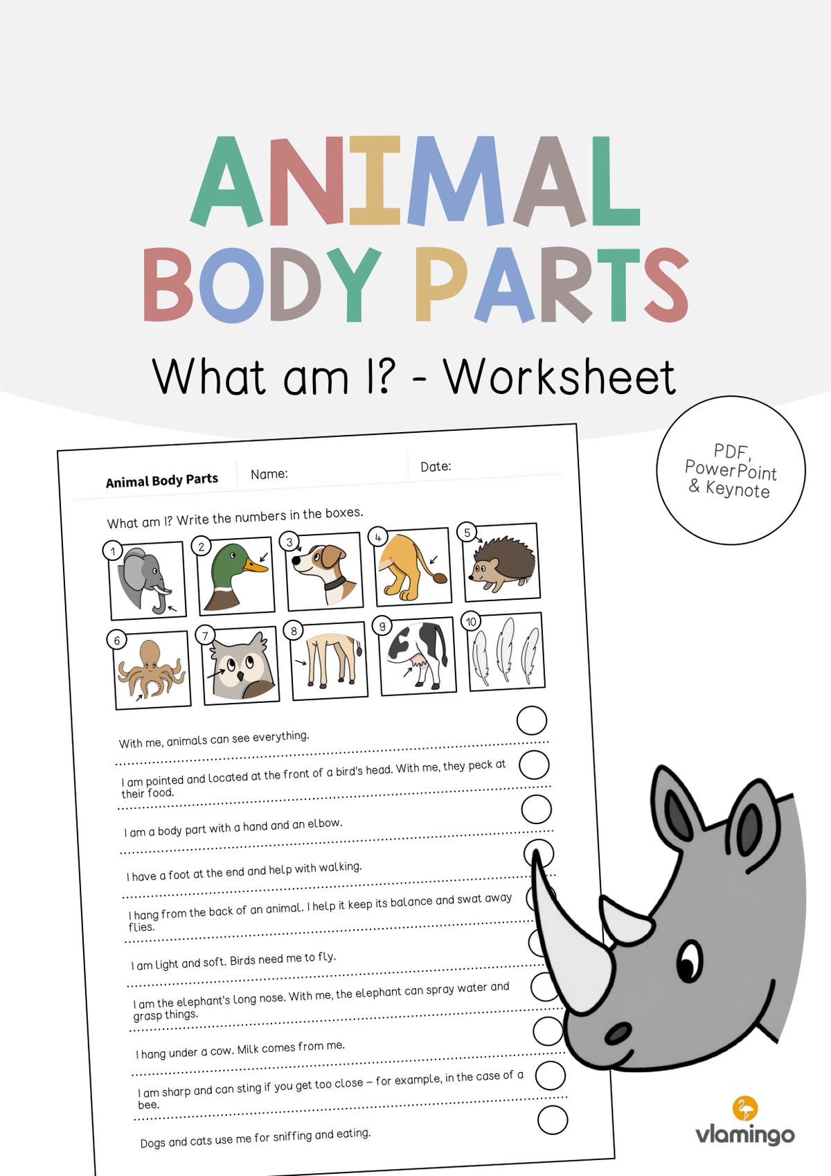 de englisch animal body parts what am i worksheet 001