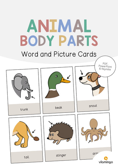 Animal Body Parts / Körperteile von Tieren: Word and Picture Cards (Englisch)