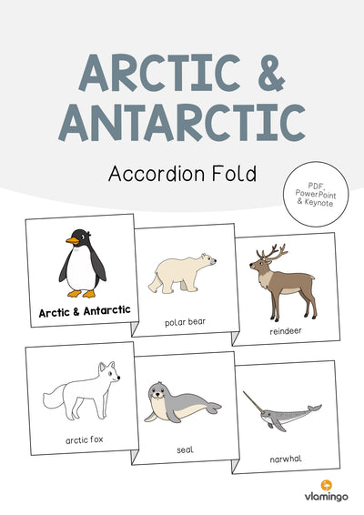 Arctic & Antarctic / Arktis & Antarktis: Accordion Fold (Englisch)