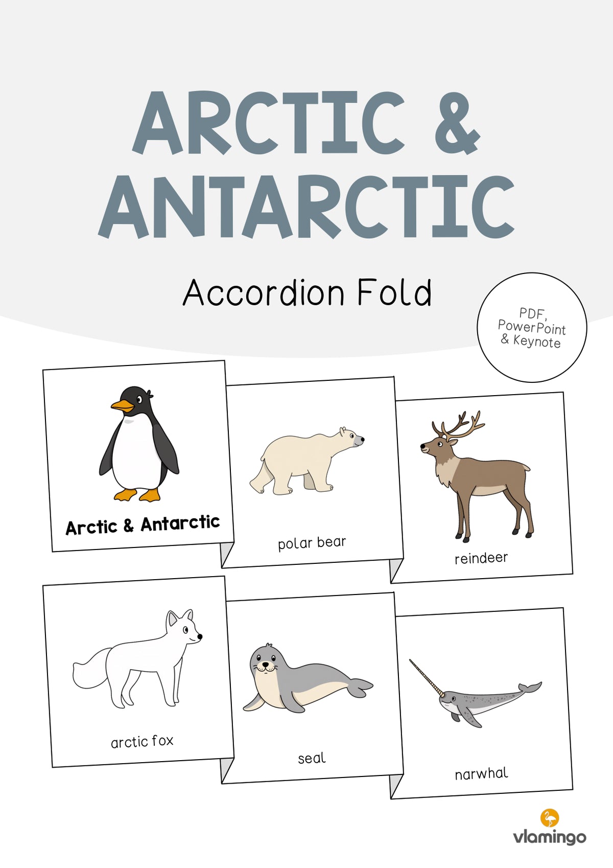 de englisch arctic antarctic accordion fold 001