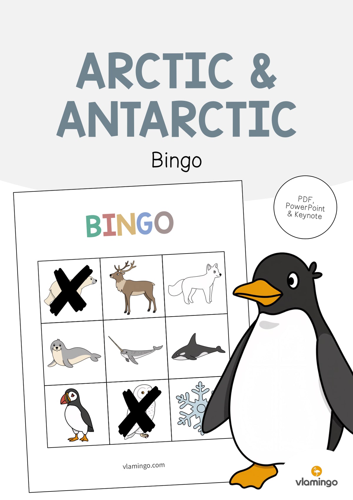 de englisch arctic antarctic bingo 001