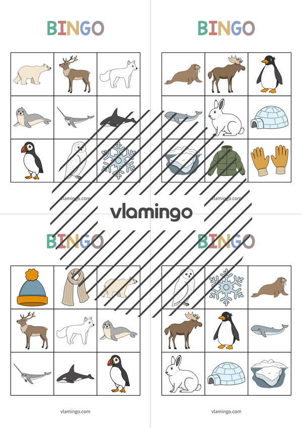 de englisch arctic antarctic bingo 005