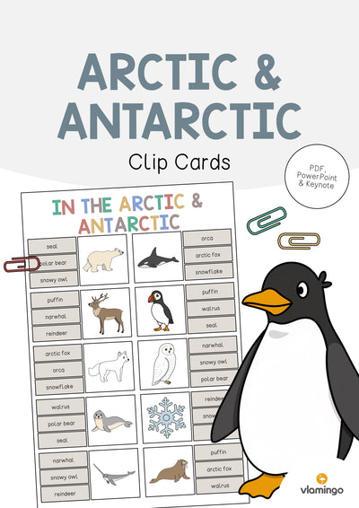 Arctic & Antarctic / Arktis & Antarktis: Clip Cards (Englisch)