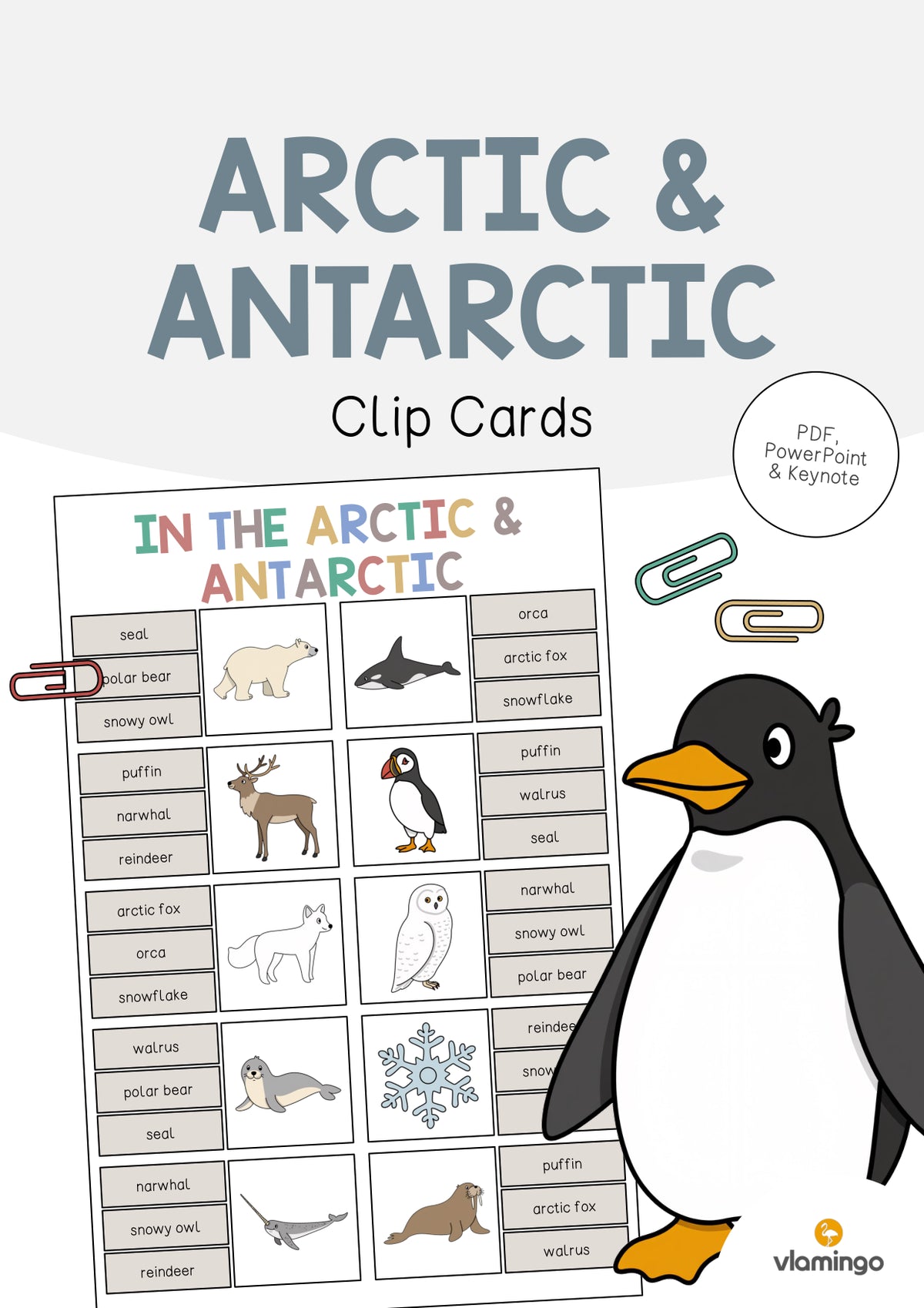 de englisch arctic antarctic clip cards 001