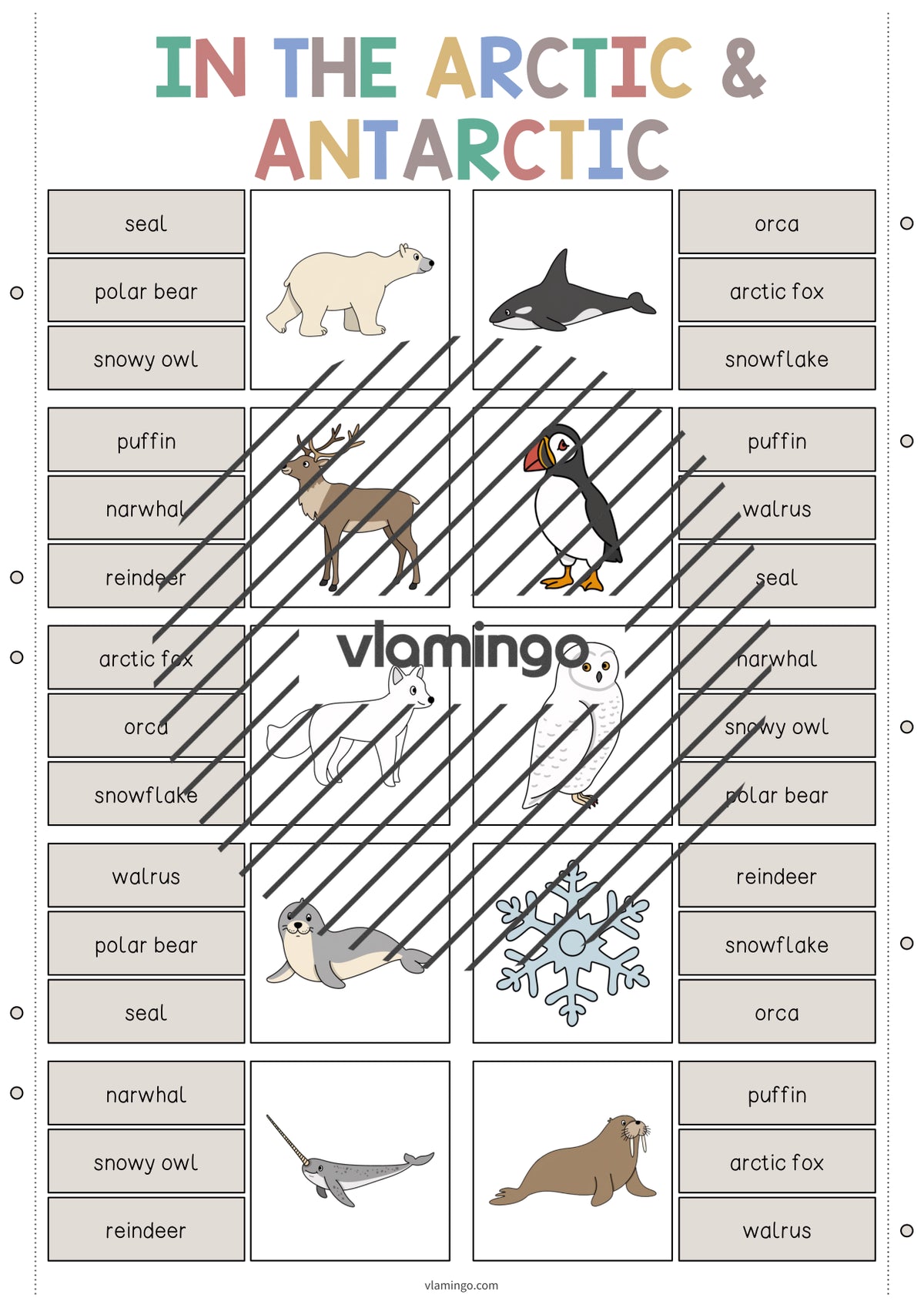de englisch arctic antarctic clip cards 003