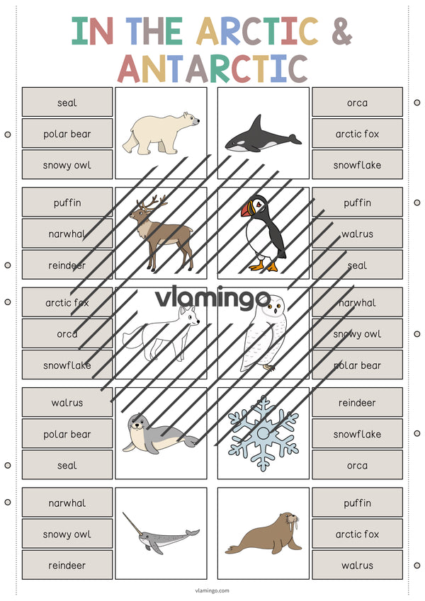 de englisch arctic antarctic clip cards 003
