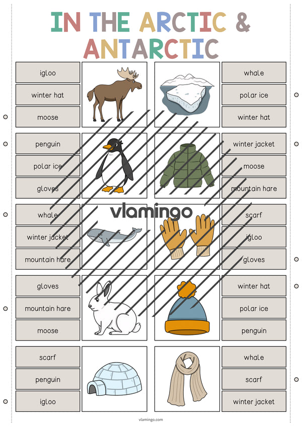 de englisch arctic antarctic clip cards 004