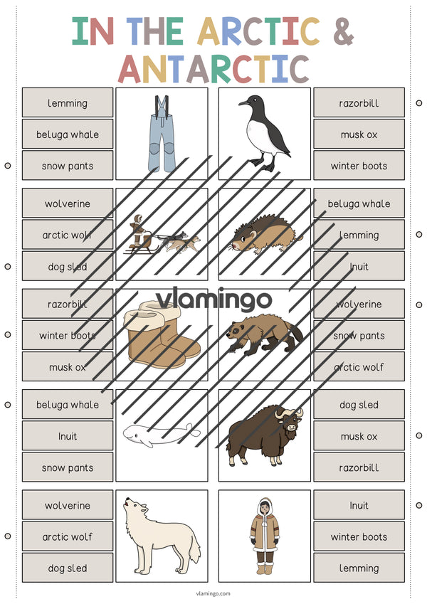 de englisch arctic antarctic clip cards 005