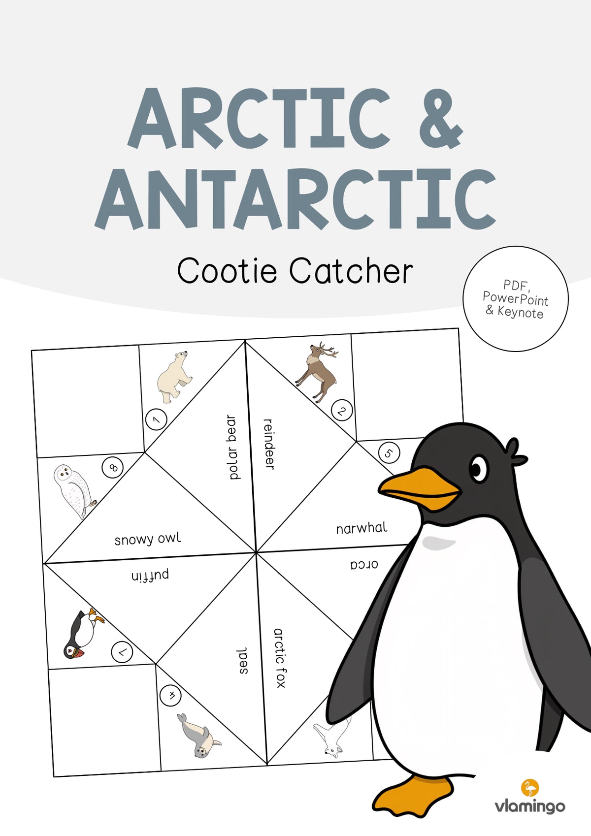 de englisch arctic antarctic cootie catcher 001