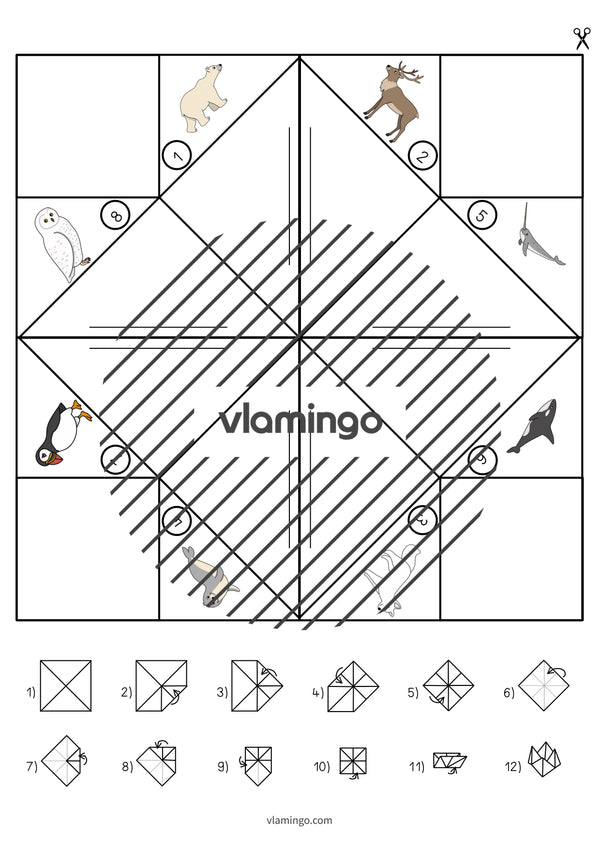 de englisch arctic antarctic cootie catcher 009