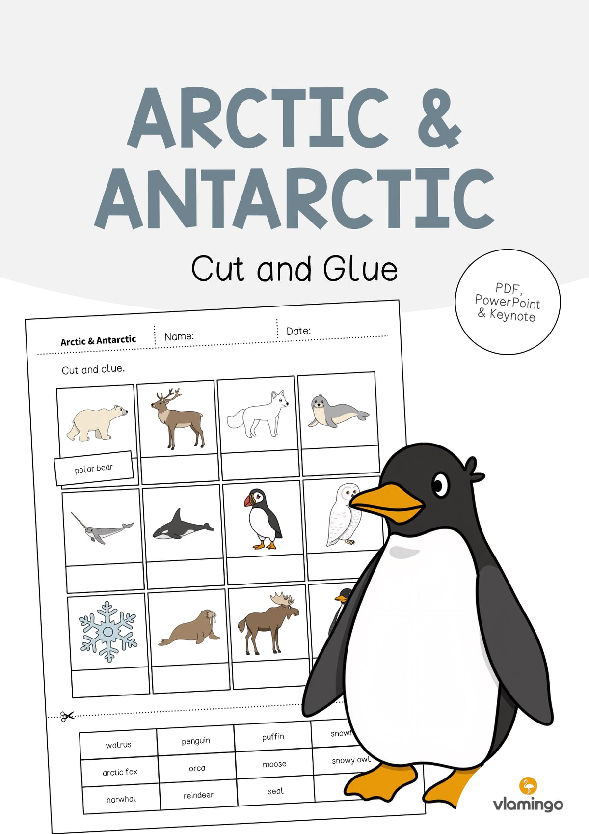 de englisch arctic antarctic cut and glue 001
