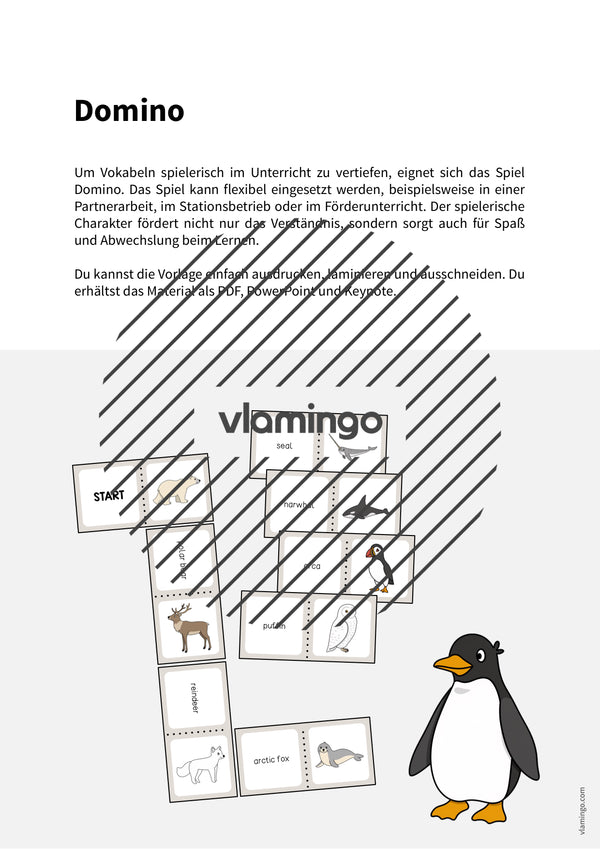 de englisch arctic antarctic domino 002