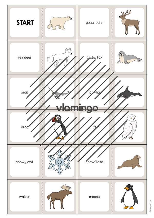 de englisch arctic antarctic domino 003