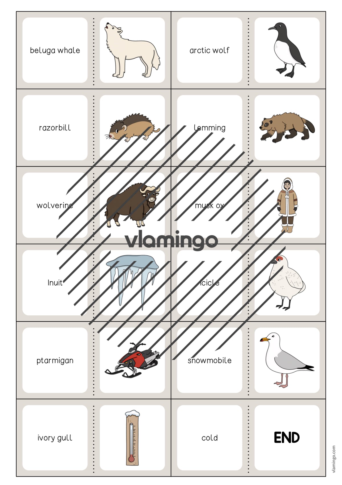 de englisch arctic antarctic domino 005