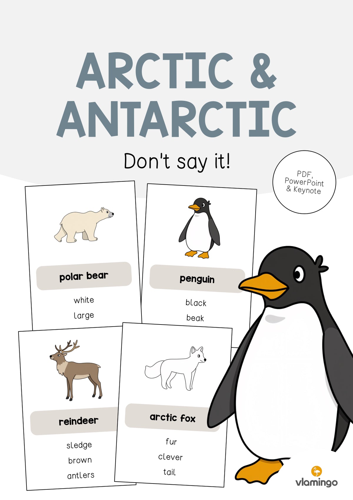 de englisch arctic antarctic dont say it 001